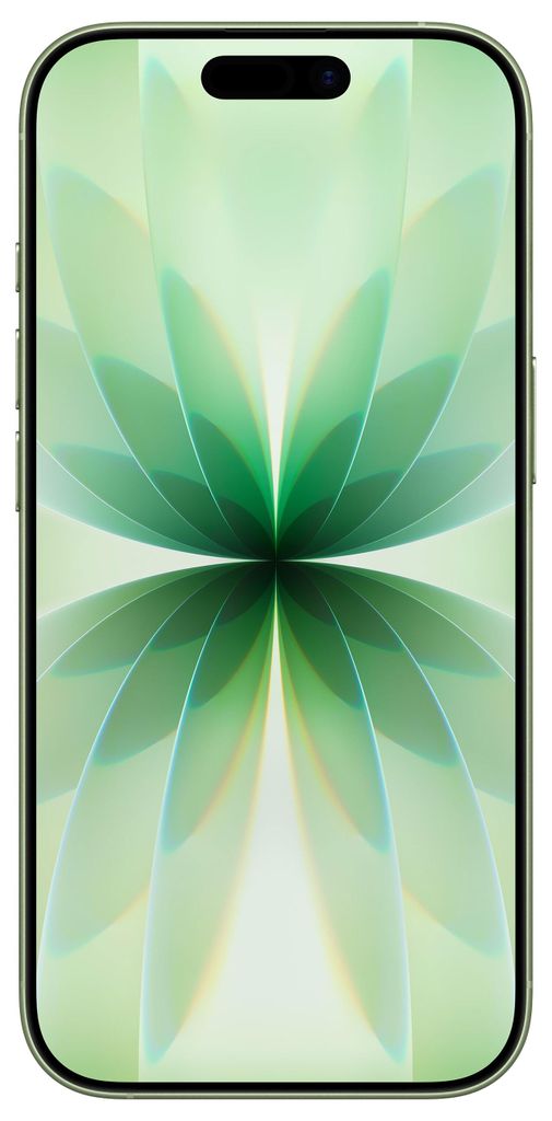 Apple iPhone 17 256GB Salbei Produktbild 