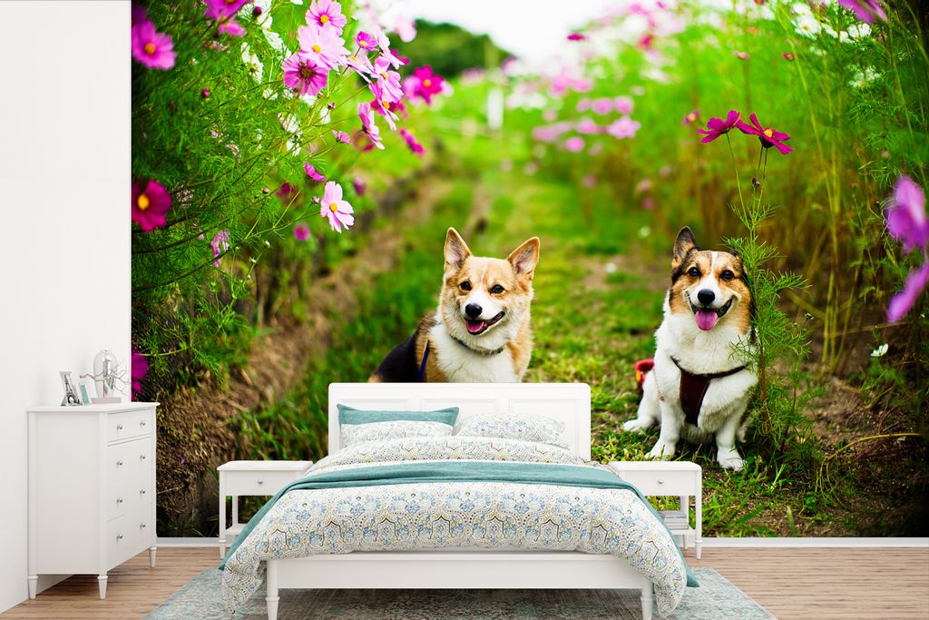 MuchoWow Fototapete für Wohnzimmer oder Schlafzimmer Wandtapete Vinyl Motivtapete Corgis inmitten der Blumen - 360x240 cm - Vinyl-Tapete
