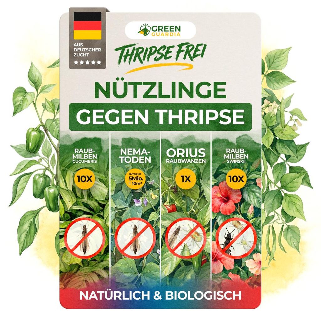 Thripse-Frei Bundle – Raubmilben, Orius & Nematoden Produktbild 