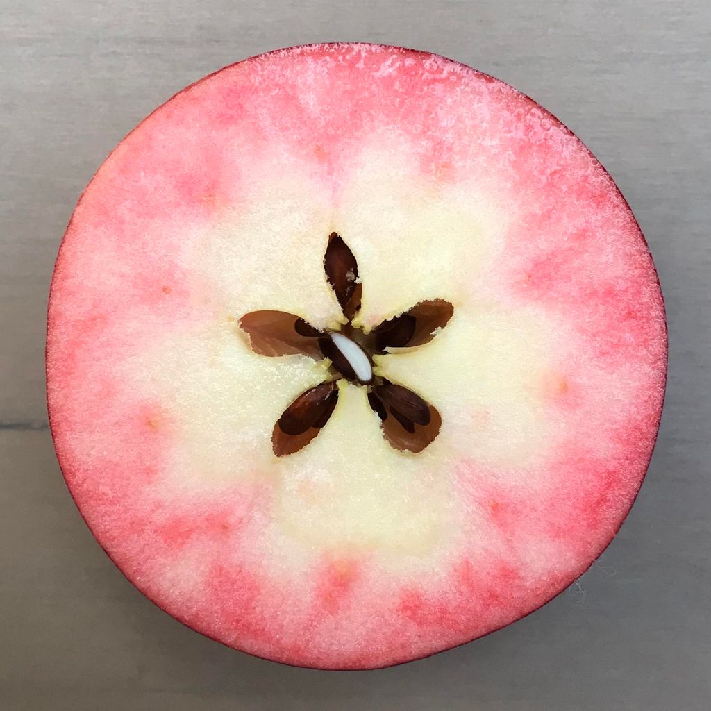 ELMirA Säulenapfel
