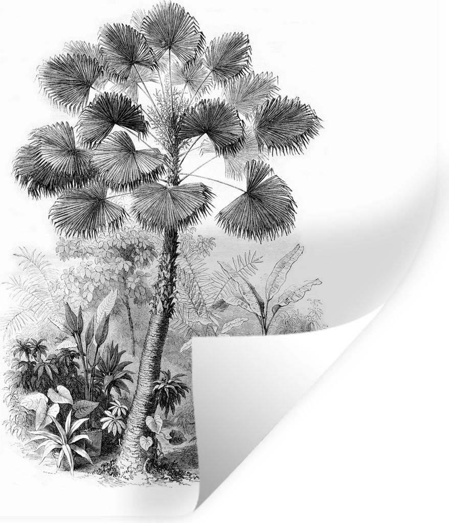 MuchoWow Wandtattoo Wandsticker Wandaufkleber Design - Natur - Baum 100x100 cm Selbstklebend und Repositionierbar - Wierderverwendbar - Selbstkle...