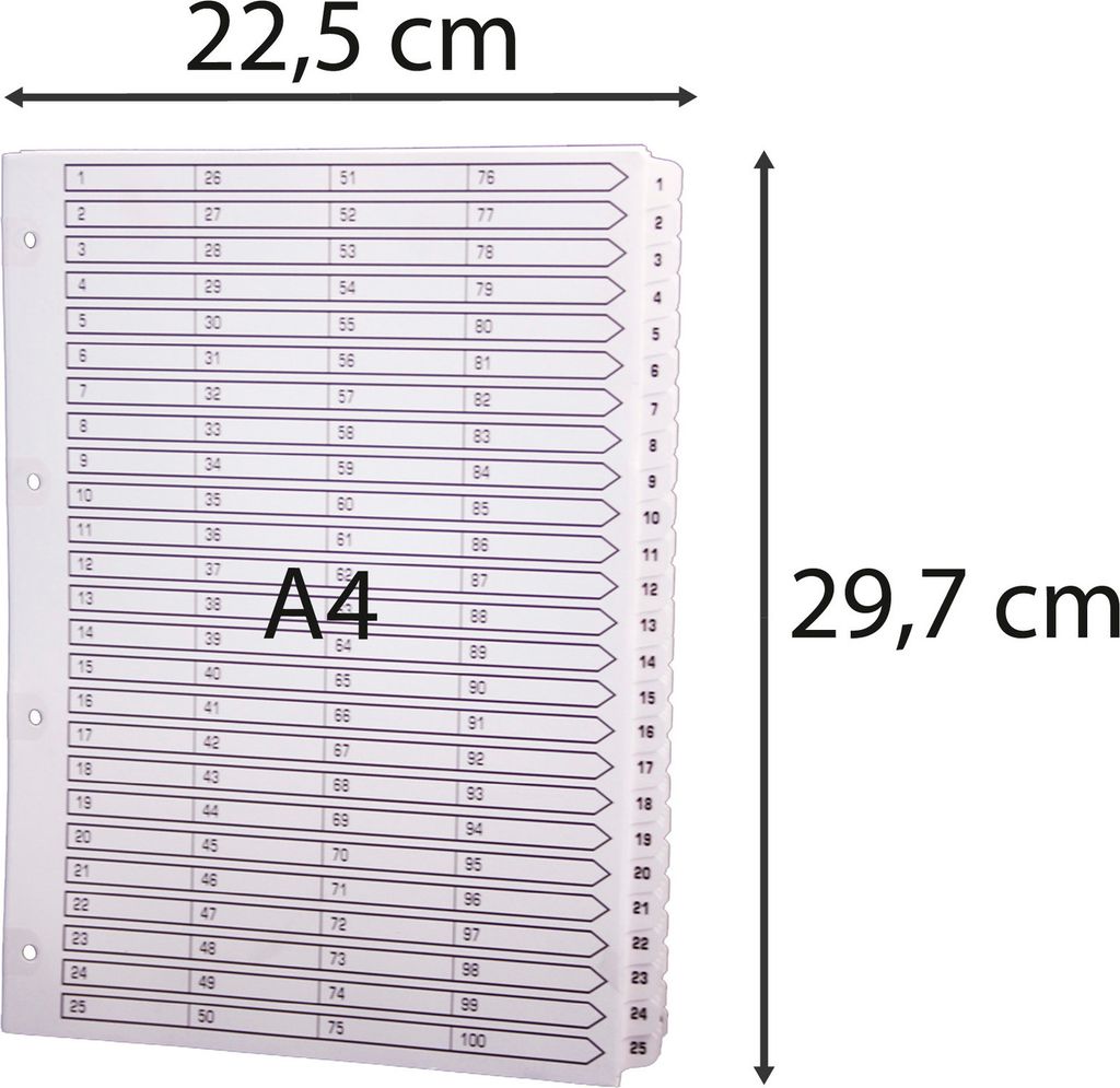 Exacompta 2x Register 100 Taben von 1 bis 100 A4 Weiß MWD1-100Z