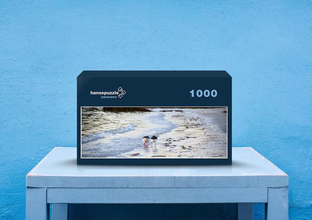 hansepuzzle 73191 - Küste Puzzle, 1050 Teile, Natur, 60,0 x 46,0cm mit hochwertiger Aufbewahrung, Kartonbox und wiederverschließbarem Beutel