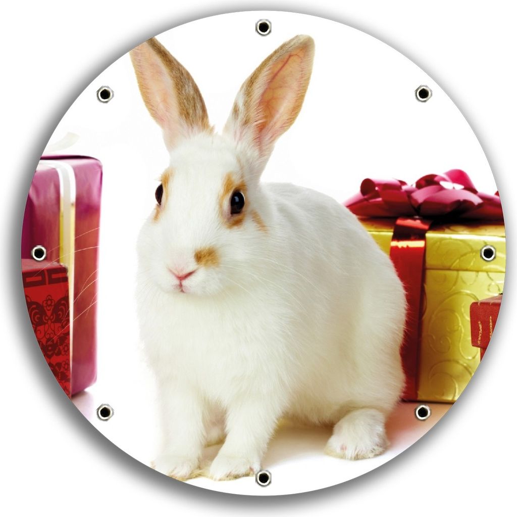 Wallario rundes Outdoor-Poster für Garten oder Balkon, Motiv Süßes Kaninchen mit bunten Geschenken, 30 cm Durchmesser