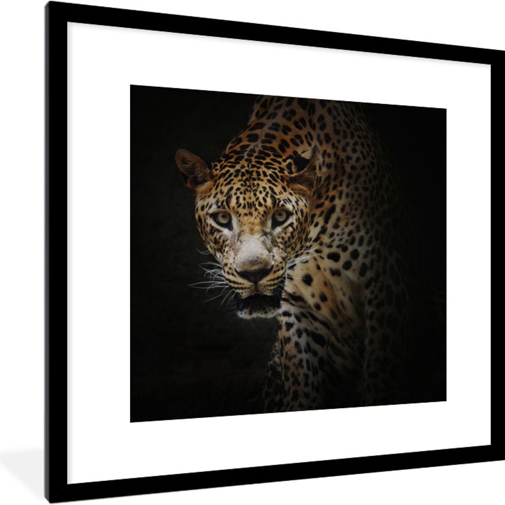 MuchoWow Gerahmtes Poster Leopard - Wilde Tiere - Licht 40x40 cm - Poster mit Schwarzem Bilderrahmen Wandposter Rahmen Foto Bilder - Poster - Pla...