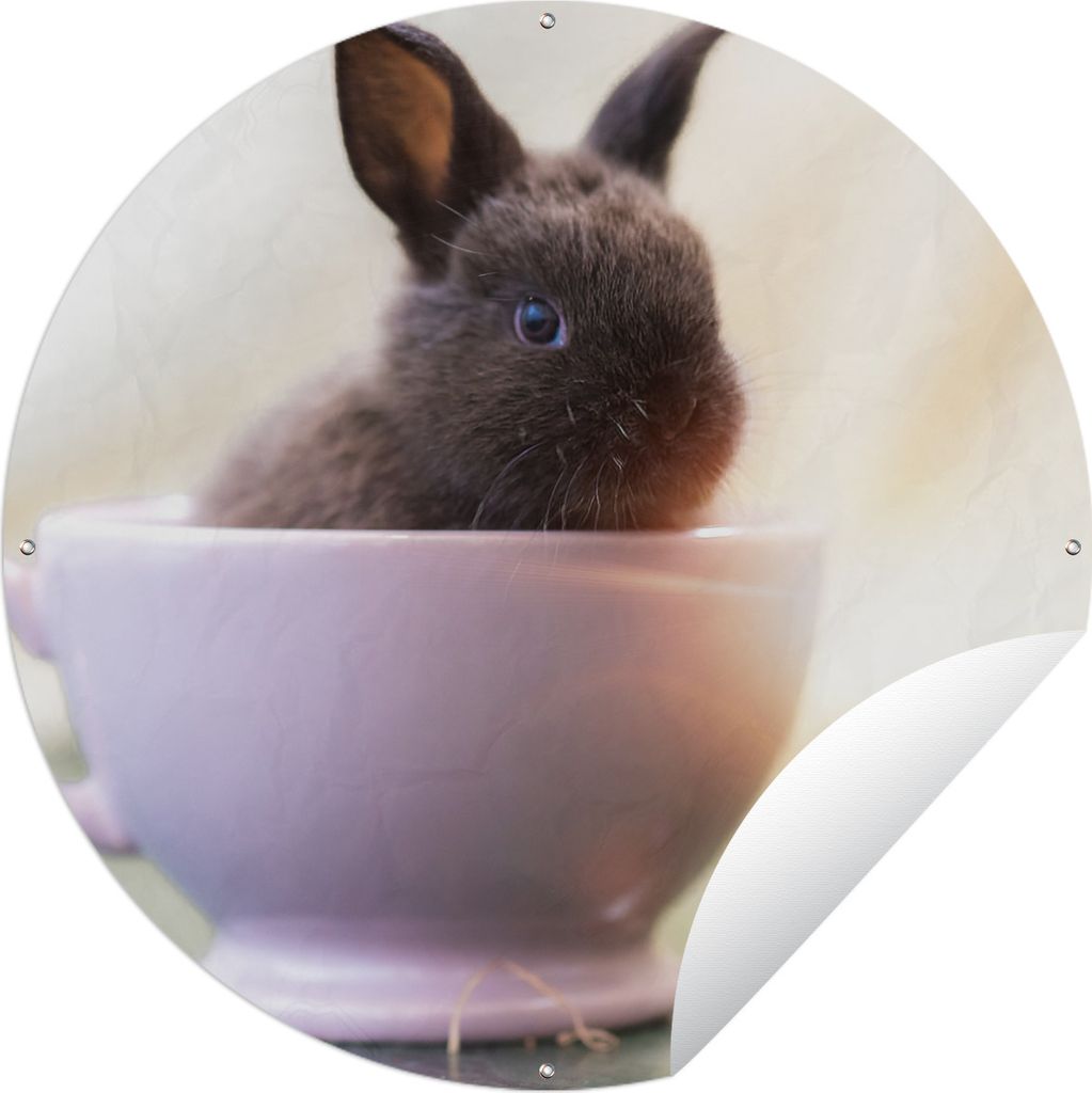 MuchoWow Gartenposter Outdoor-Poster Rund Kaninchen - Baby - Teetasse Ø 90 cm Gartendeko Rundes Poster draußen