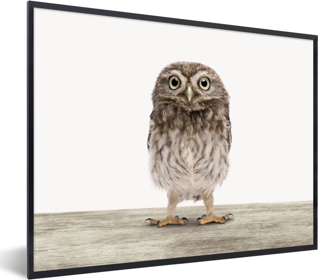 MuchoWow Gerahmtes Poster Eule - Braun - Eulenküken - Kinder - Jungen - Mädchen 80x60 cm - Poster mit Schwarzem Bilderrahmen Wandposter Rahmen ...