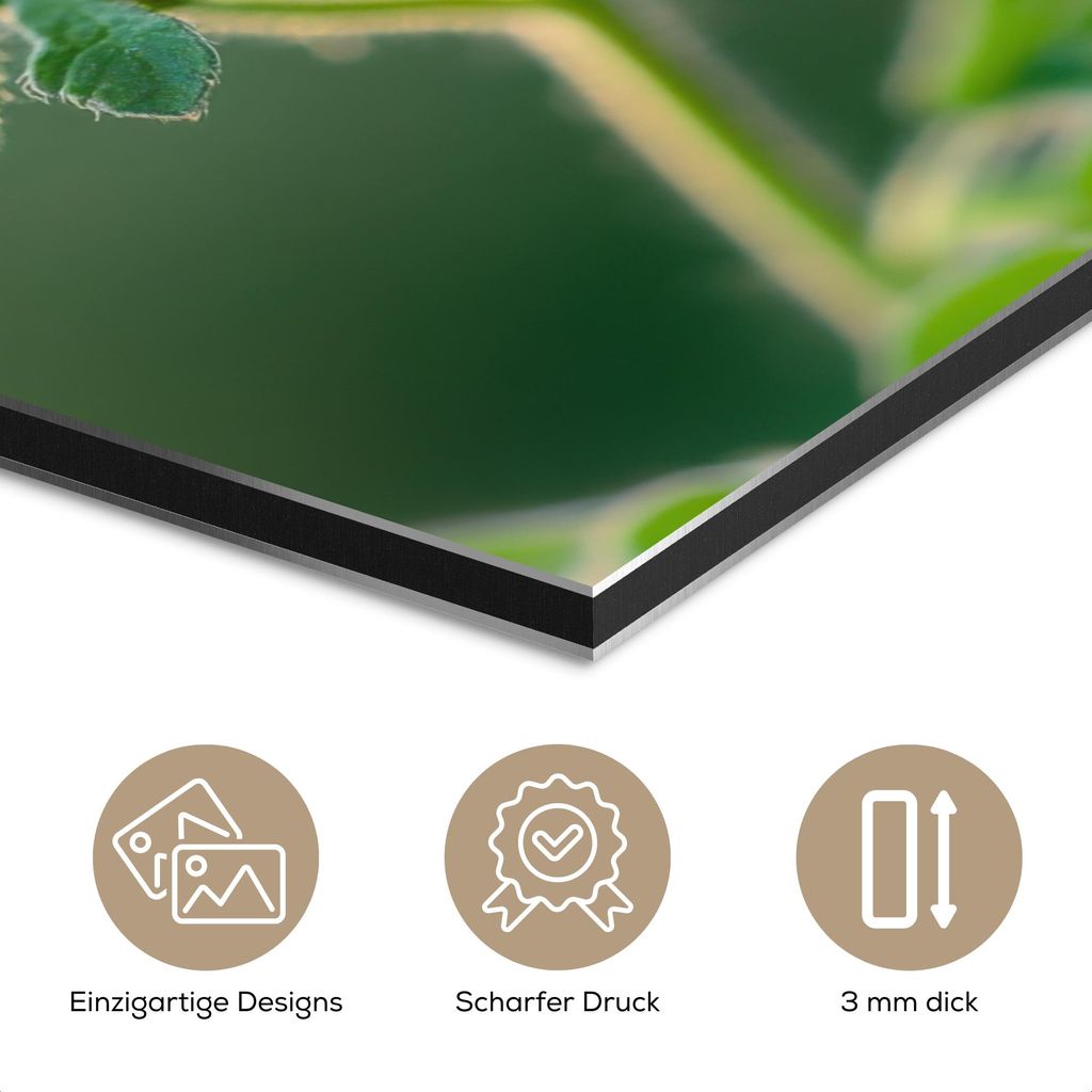 MuchoWow Wanddekoration Metall Metallbild Wandkunst 100x150 cm Blume - Nahaufnahme - Lila MuchoWow Aluminium Gemälde - Bild