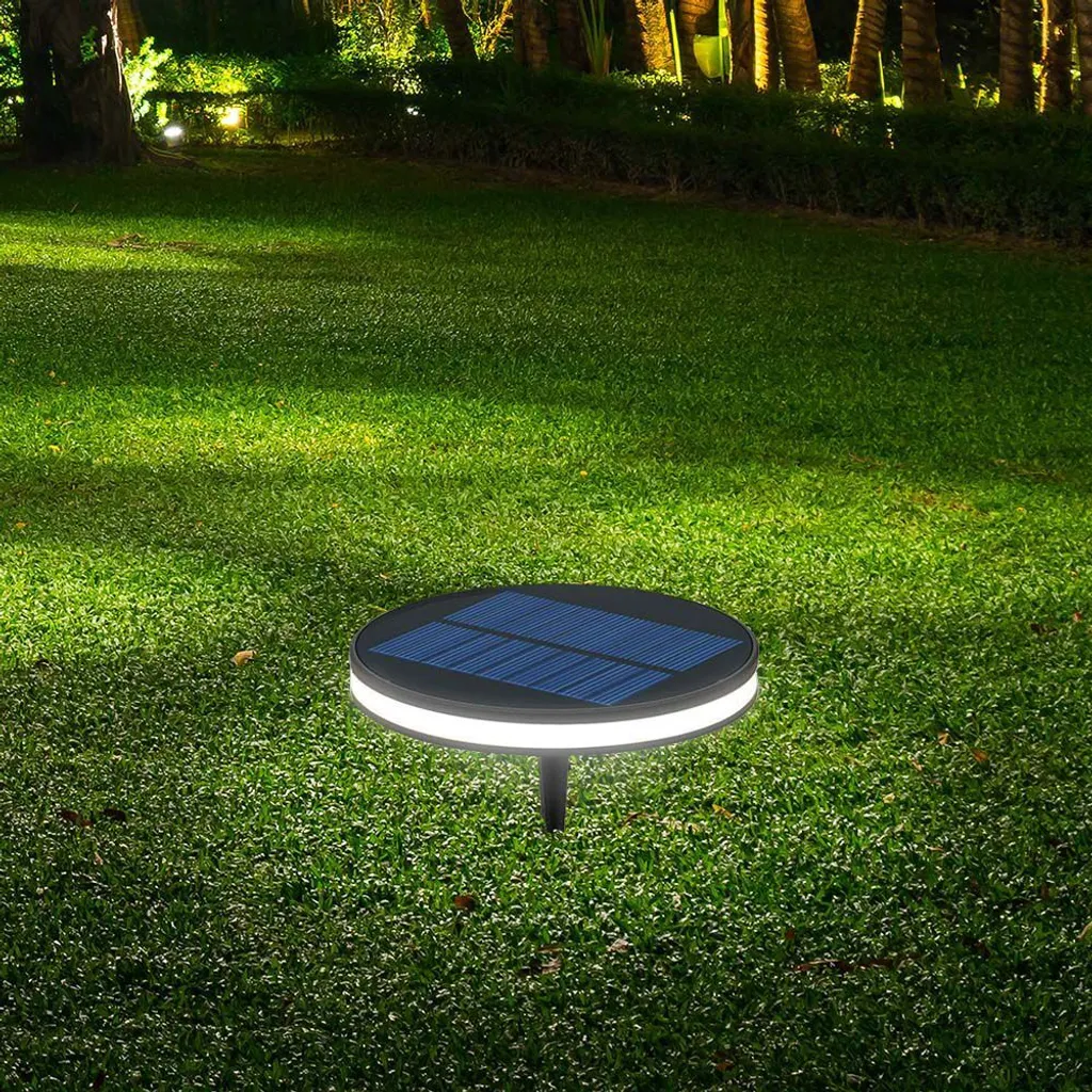Lampe Solaire Jardin à Piquer Noire - Balisage Extérieur 90 Lumens
