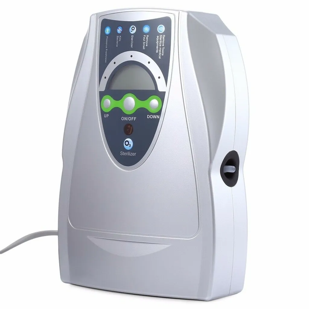 Générateur d'Ozone 600mg Purificateur d'Air et Stérilisateur de Fruits