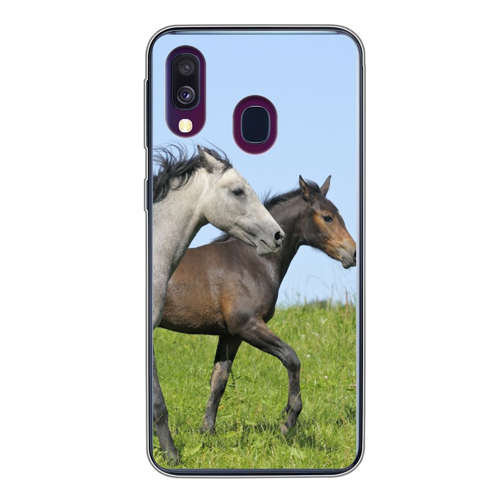 MuchoWow Handyhülle Schutzhülle Hülle für Samsung Galaxy A40 Pferde - Tiere - Gras Silikon Softcase Handy Hülle - Handy-Tasche
