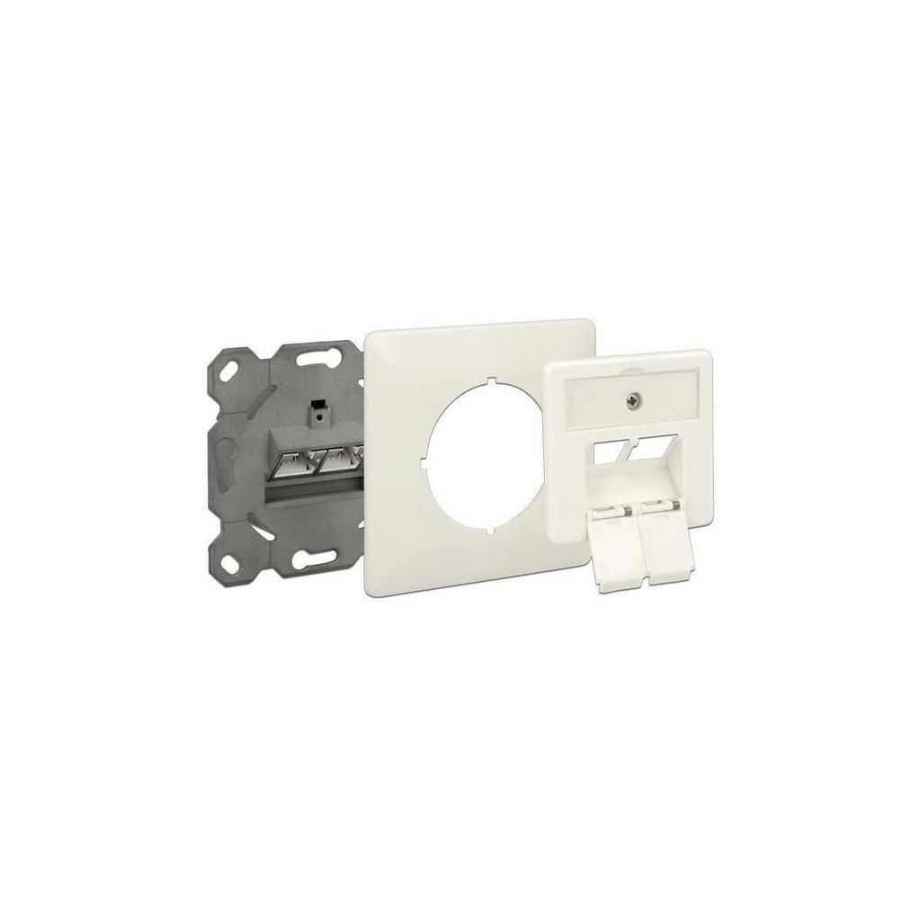 Delock Modular Wall Outlet flush mount 2 Port Cat.6A LSA - Produktbild 
