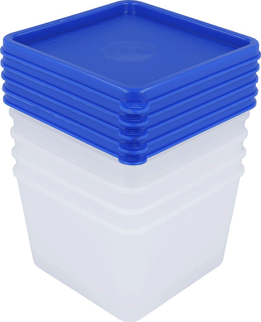 5er Gefrierdosen 0,5l EUROHOME® Vorratsdosen