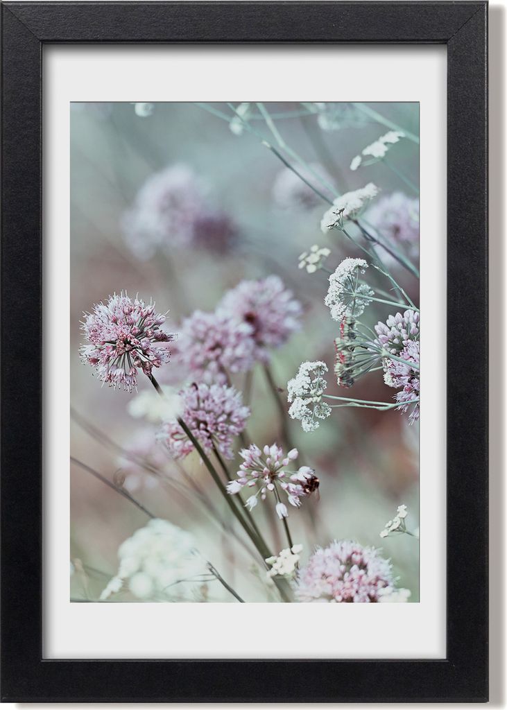 Bild 20x30 MDF-Rahmen, Wandkunst Knoblauch Blumen Produktbild 