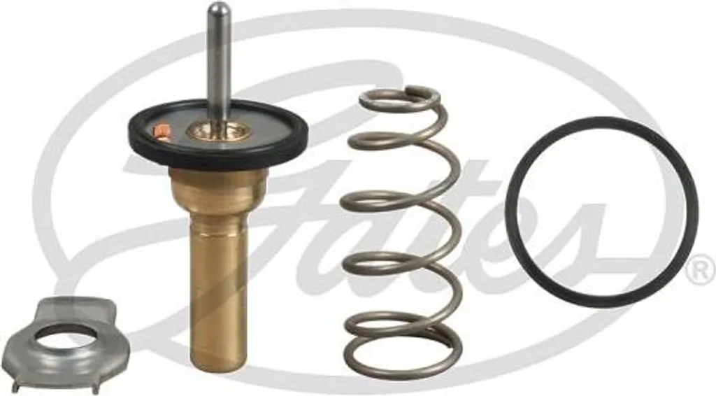 Calorstat GATES TH49990G1 avec Sonde Intégrée pour Smart 1322000015