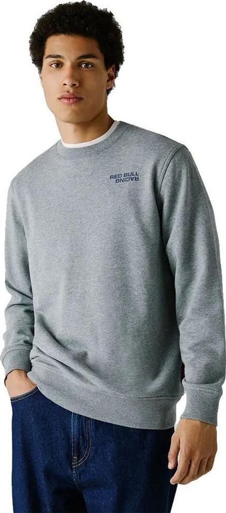 Red Bull Racing Reflect Logo Sweatshirt Grau L Herren Grau L