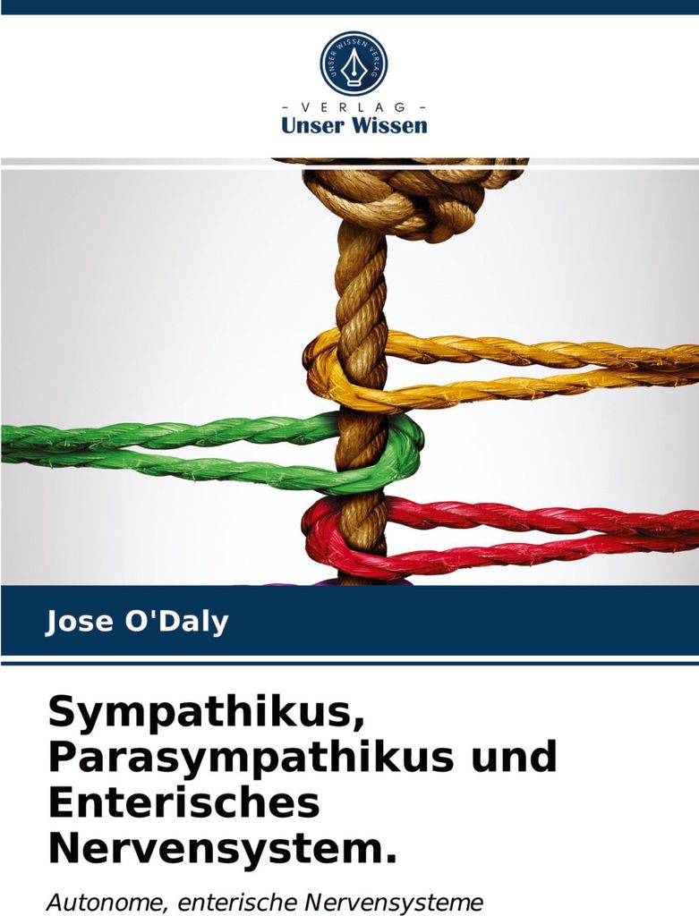 Sympathikus, Parasympathikus und Enterisches Nervensystem.