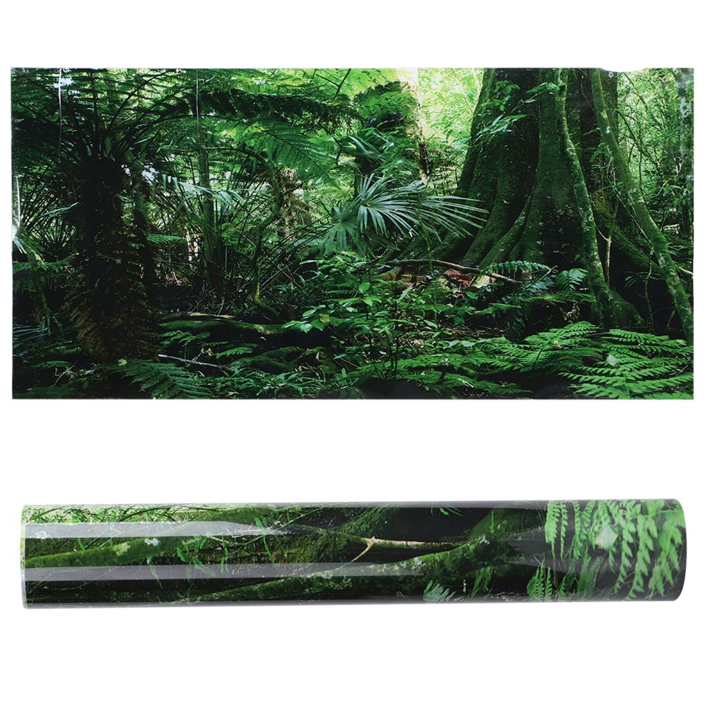 PVC Reptile Box Regenwald Hintergrund für Fisch Panzer Wand Image du produit 
