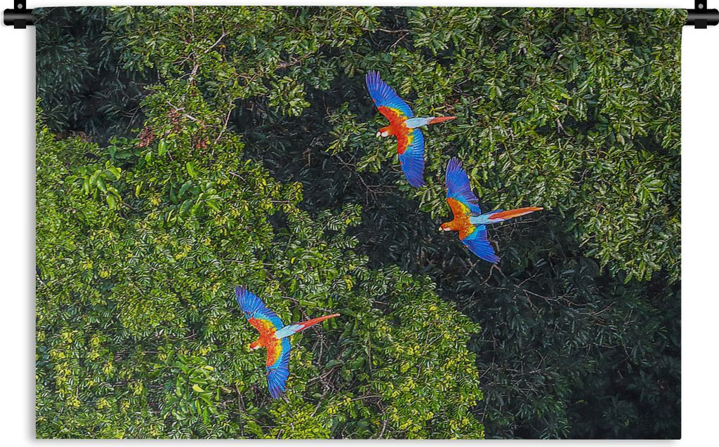 MuchoWow Wandteppich Wandbehang Dschungel - Baum - Papagei - Jungen - Mädchen - Kinder 120x80 cm Tapisserie Dekoration Wandtuch - Wanddekoration...