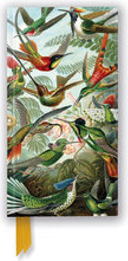 Schmales Hardcover-Notizbuch: Ernst Haeckel, Kolibris
