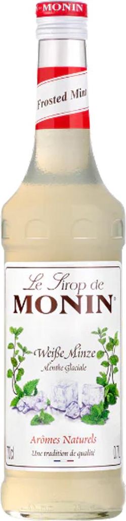 Sirup Monin z bílé máty s výraznou mátovou chutí, ideální Obrázek produktu 