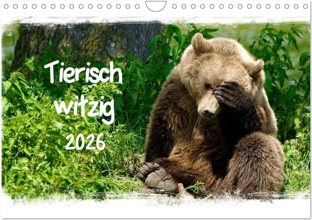 Tierisch witzig (Wandkalender 2026 DIN A4 quer), CALVENDO Monatskalender