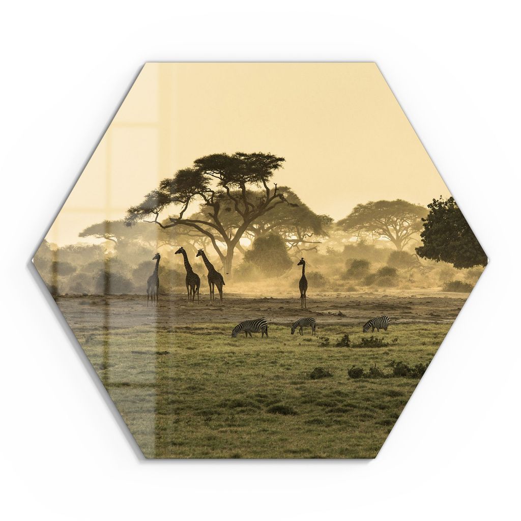 DEQORI Glasbild Echtglas 55x48 cm 'Savanne am Abend' Wandbild Bild modern Deko