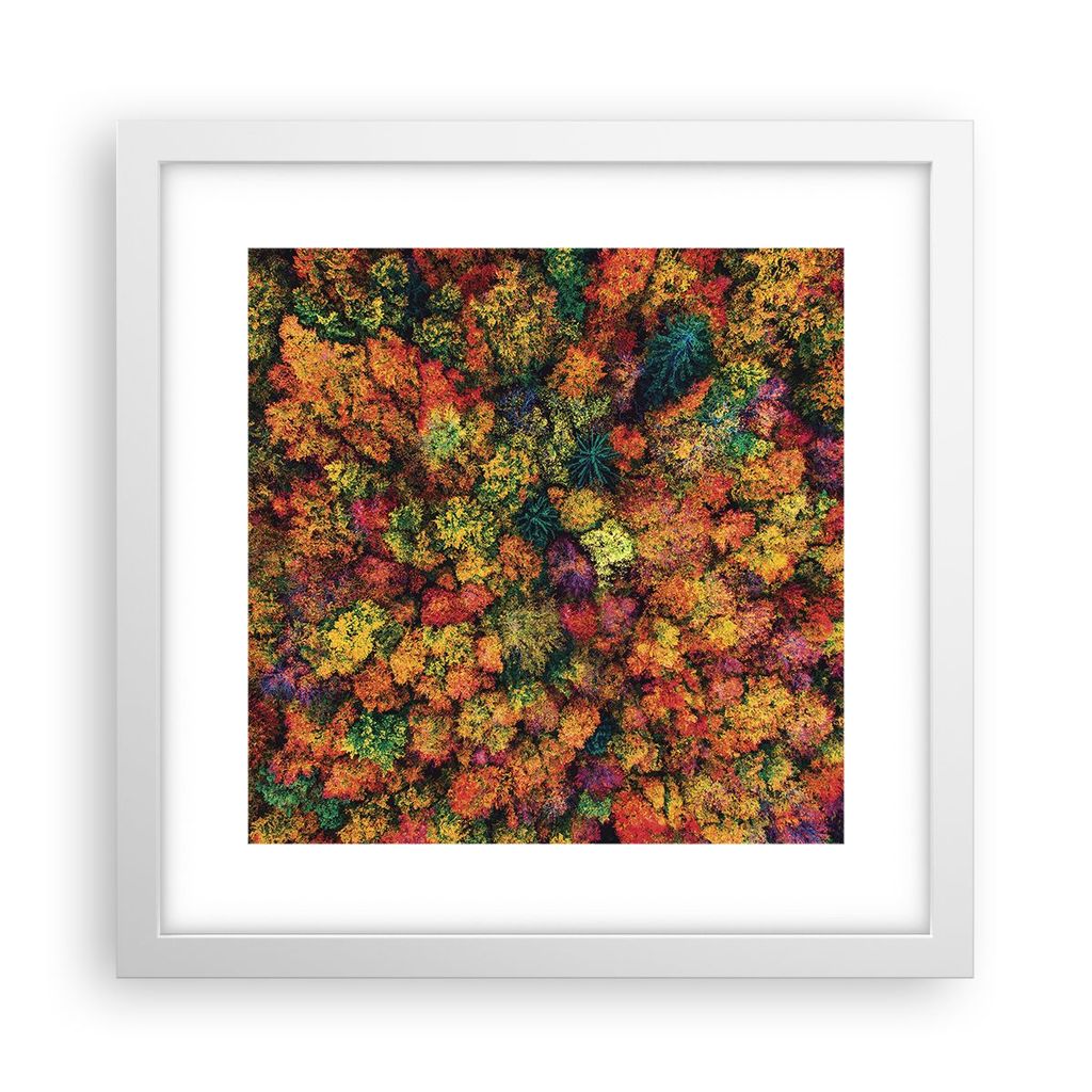 Gerahmtes Poster - Weißer Rahmen - Herbst Perspektive Vogel - 30x30 cm - Wand Bild - Wanddeko - Wandbilder - Kunstposter - Wandposter - Bilderrahm...
