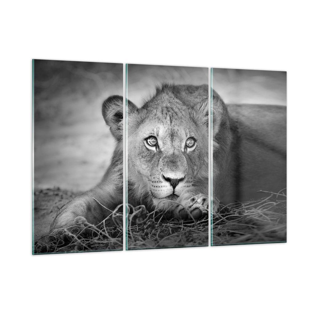 Bilder auf glas - 3 Teile - Löwe asiatisch Porträt - 165x110cm - Glasbilder - Wandbilder - Bilder - zum Aufhängen bereit - Wanddekoration aus Gl...