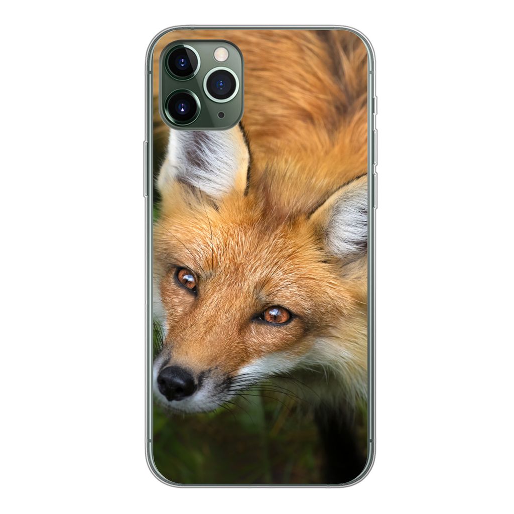 MuchoWow Handyhülle Schutzhülle Hülle für iPhone 11 Pro Max Fuchs - Grün - Orange Silikon Softcase Handy Hülle - Schutz