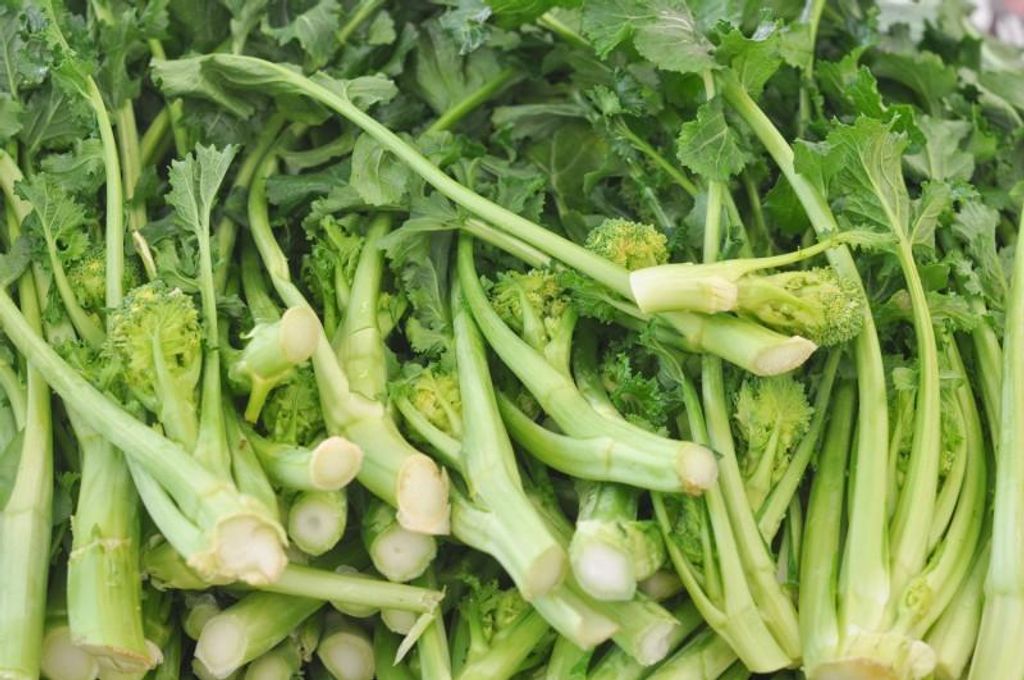 Spargelbrokkoli "Cima di Rapa" Broccoletti - 50 Samen Produktbild 