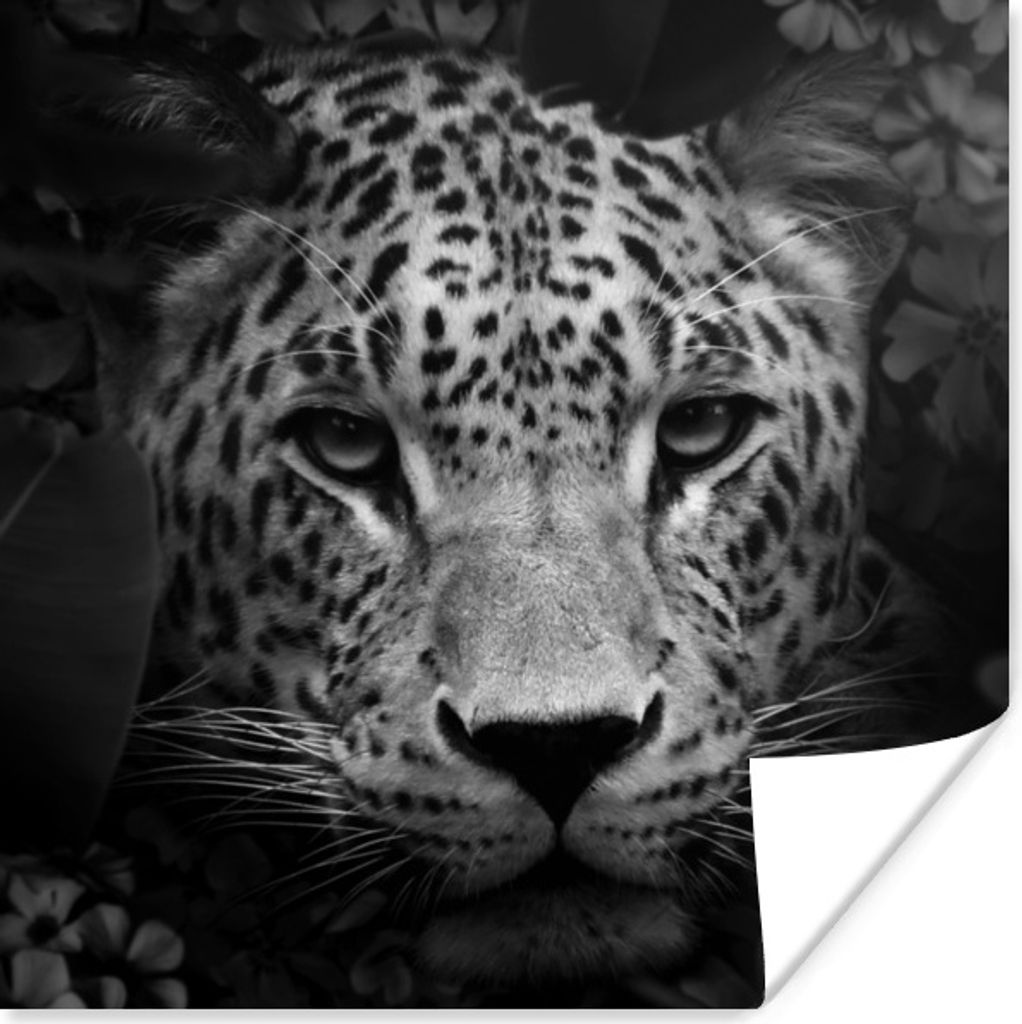 MuchoWow Poster Tiere - Panther - Dschungel - Schwarz - Weiß 100x100 cm - Babyzimmer