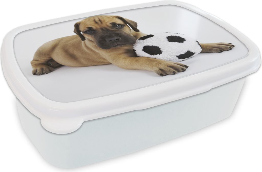 KitchenYeah Lunchbox Brotzeit Brotdose 17x11 cm Ein brauner Welpe mit einem Fußball Kinder Brotzeitdose - Lunch Box - Kinder - Sandwich-Box - Sc...