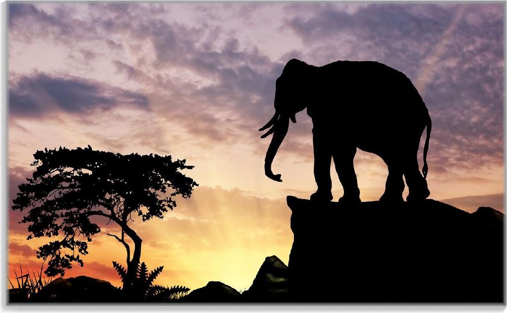 Wallario Frühstücksbrettchen aus Glas, je 14 x 23 cm, mit rutschfesten Füßen, Motiv Elefant vor Abendhimmel