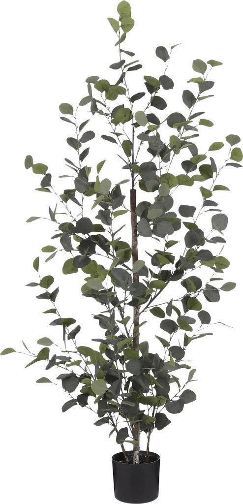 Mica Decorations Eucalyptus Kunstpflanze in Blumentopf - Produktbild 