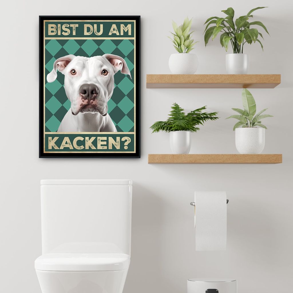 Dogo Argentino Bist du am Kacken? Hunde Kaufland.de