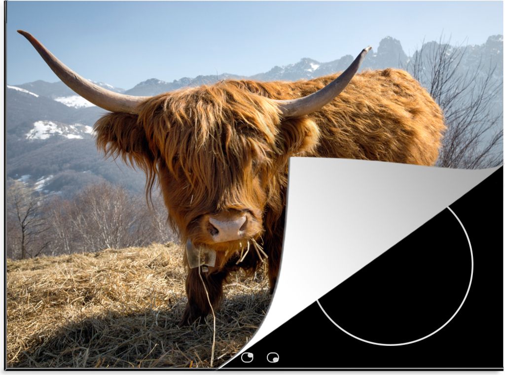 KitchenYeah Herdabdeckplatte Schottischer Highlander - Berg - Schnee , 60x52cm, Küche Deko, Ceranfeld Herdabdeckung, Abdeckplatte fùr Kochfeld