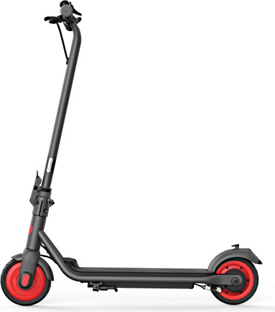 Ninebot E-Scooter Zing C20 Grau/Rot