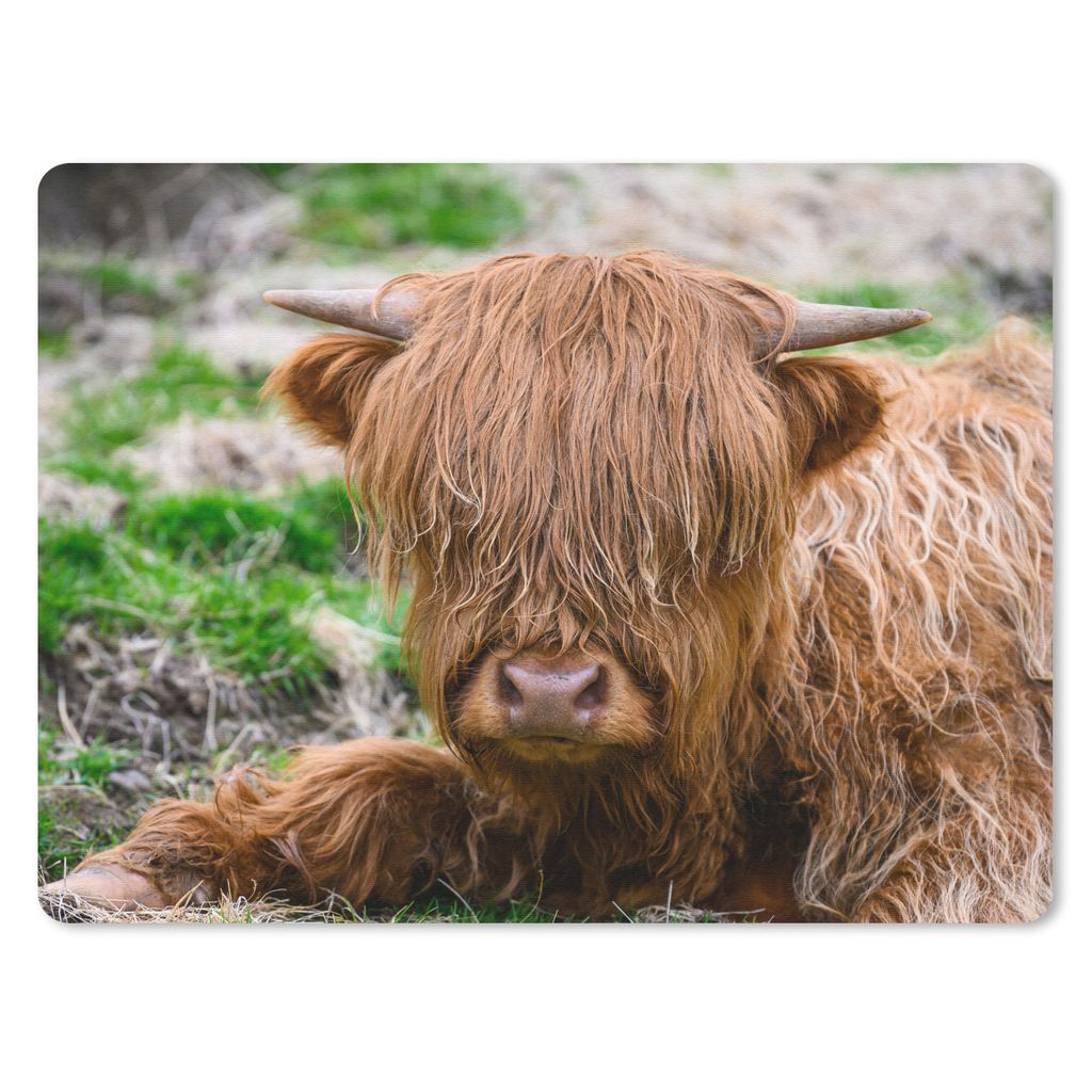 MuchoWow Mauspad Mousepad Schottischer Highlander - Heu - Gras 40x30 cm - Mousepads - Maus Mat - Pad - Mausunterlage - Anti Rutsch