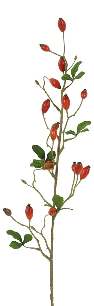Fleur artificielle sans entretien : Rosa Canina rouge 83cm durable