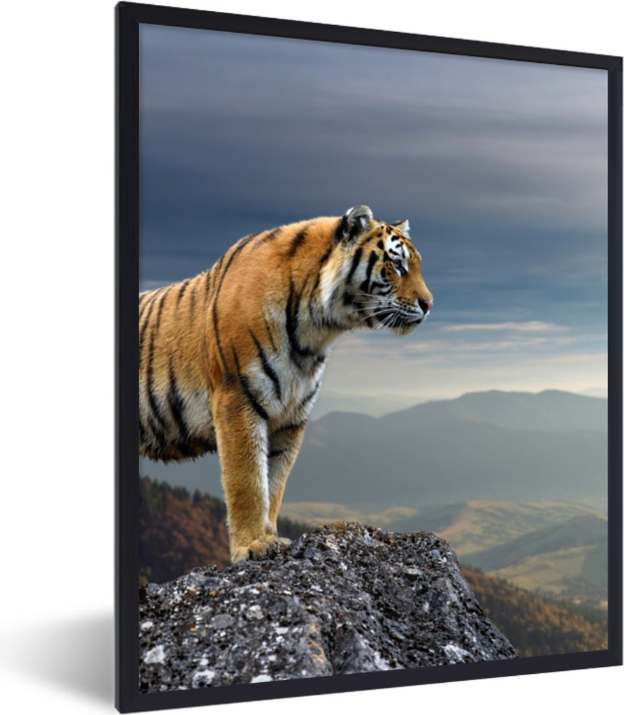 MuchoWow Gerahmtes Poster Tiger - Berg - Natur - Landschaft 60x80 cm - Poster mit Schwarzem Bilderrahmen Wandposter Rahmen Foto Bilder - Premium ...