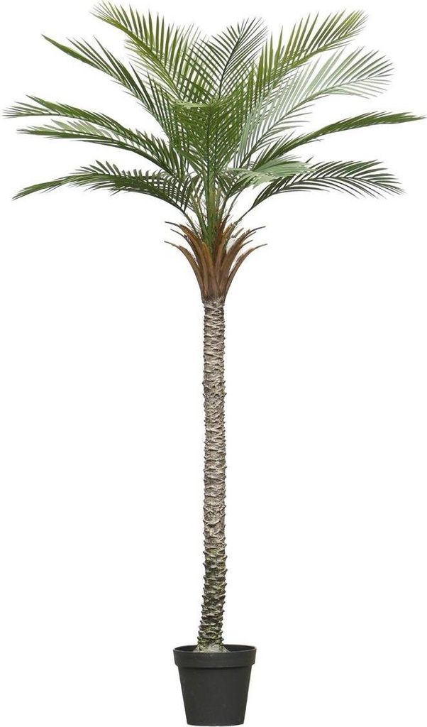 artplants.de Deko Phönixpalme ZOLTER, crossdoor, 210cm - Künstliche Dattelpalme