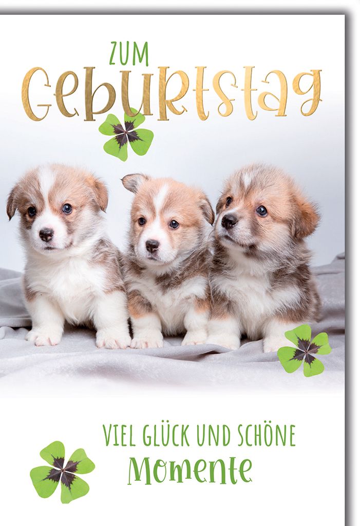 Geburtstag Glückwunschkarte mit Briefumschlag Hundewelpen
