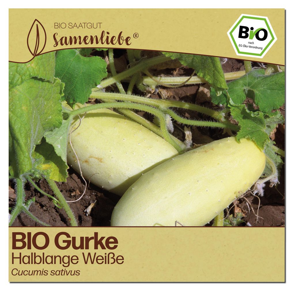 Samenliebe  Gurke Samen | Halblange Weiße - weiße - Produktbild 
