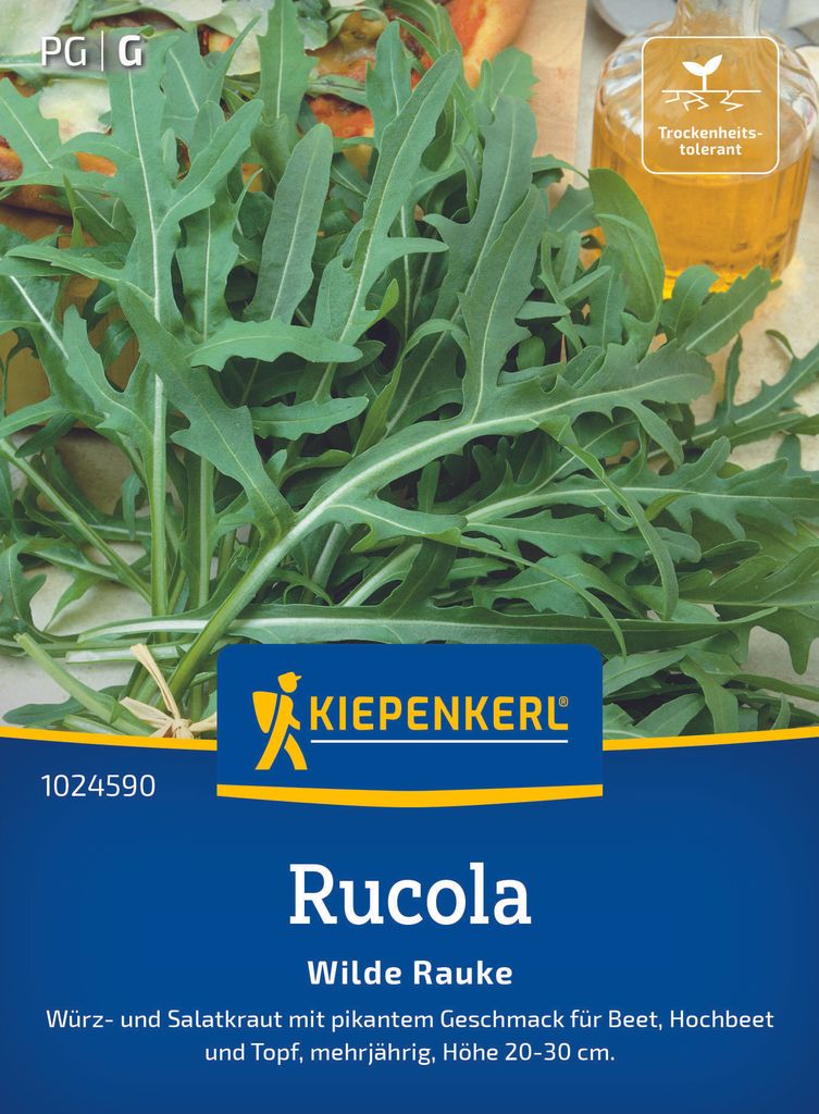 Kiepenkerl Rucolasamen Wilde Rauke Diplotaxis tenuifolia 150 Pflanzen