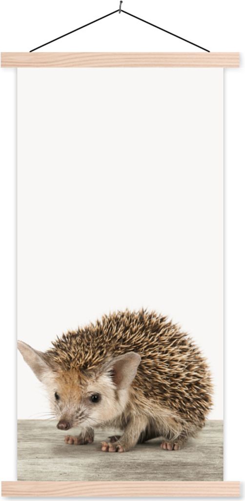 MuchoWow Textilposter Igel - Tiere - Jungen - Mädchen 40x80 cm mit holzfarbenen Rahmen - Wohnzimmer