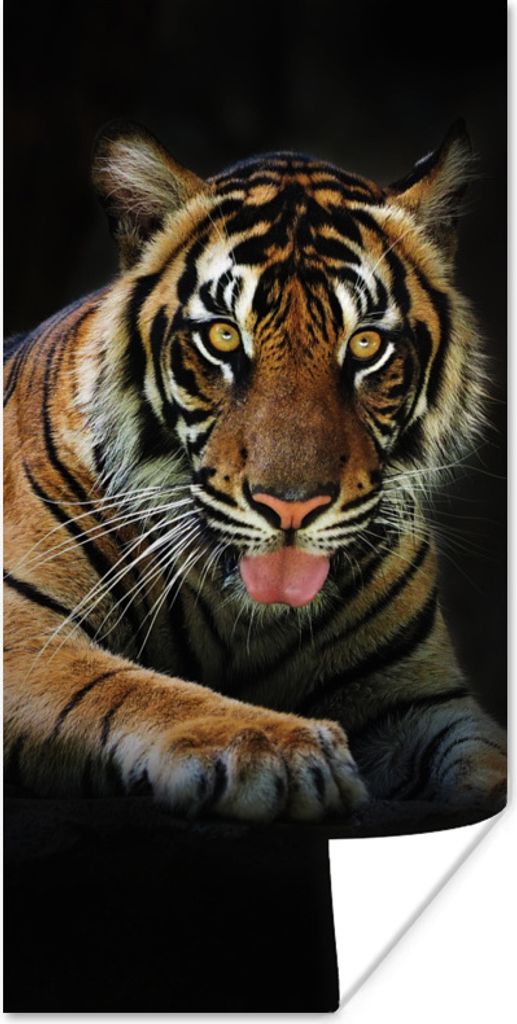 MuchoWow Poster Tiger - Schwarz - Rest 20x40 cm - Plakat - Foto