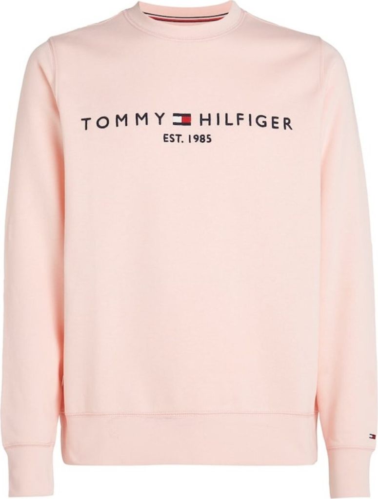 Sweatshirts Tommy Hilfiger MW0MW11596TJS