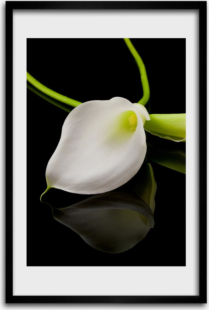 Bild - Bilderrahmen - 40 cm x 60 cm - MDF - Rahmen - Wandkunst - Weiße Calla