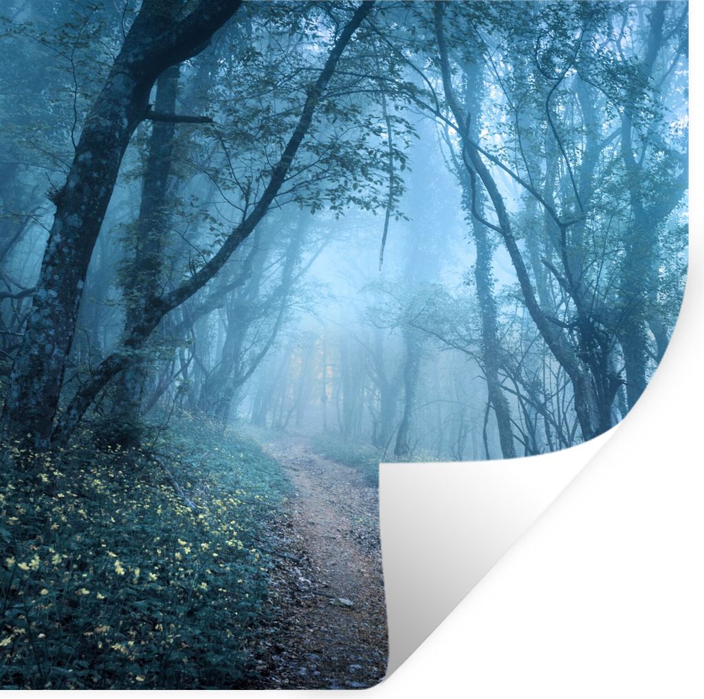 MuchoWow Wandtattoo Wandsticker Wandaufkleber Bäume - Natur - Nebel 100x100 cm Selbstklebend und Repositionierbar - Wierderverwendbar - Selbstkl...